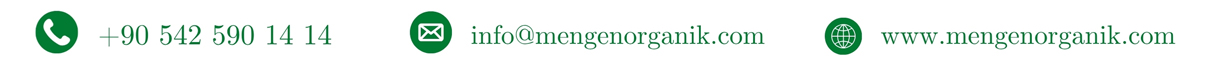 Neden Mengen Organik?